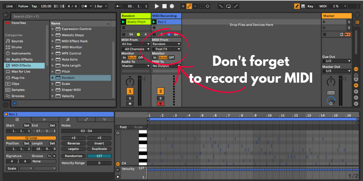 Ableton Recording MIDI Output